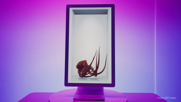 Looking Glass Hololuminescent™ Display (HLD)